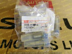 Распылитель 1153190260 set 1153190260SET